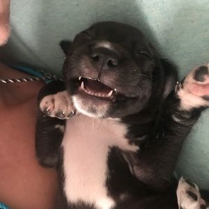 Meet your Posher, Jeffrey